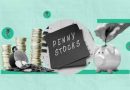 Unearthing Penny Stock Potential CAVR, SHMP, ELTP, VPLM